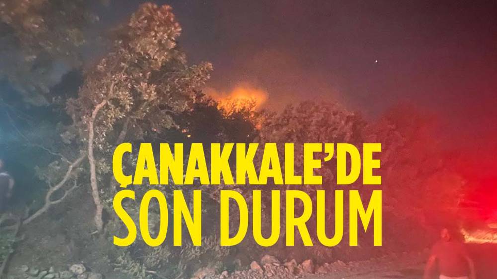 Çanakkale'nin Ayvacık ilçesinde orman yangını çıktı