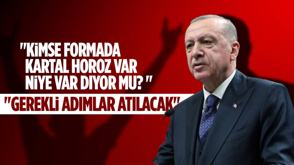 Erdoğan'dan Merih Demiral açıklaması 