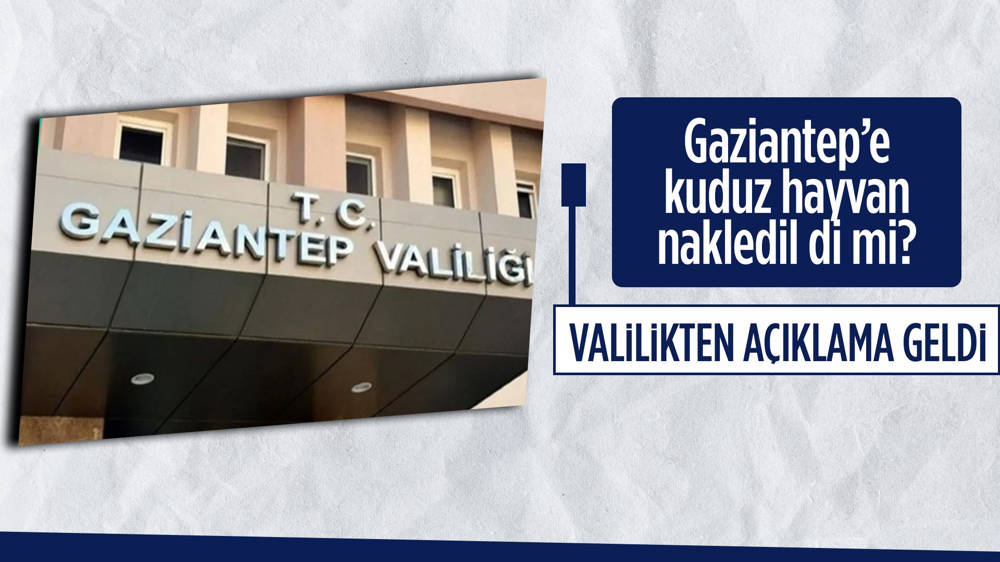 Gaziantep Valiliğinden kuduz hayvan nakli iddialarına yalanlama