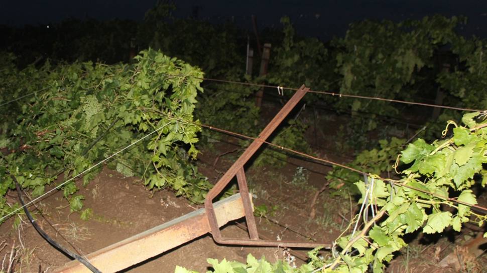 Sağanak ve dolu tarım arazilerinde zarara yol açtı