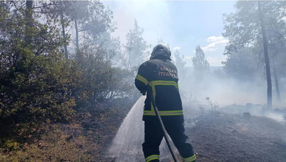 Tokat'ta ormanlık alanda yangın