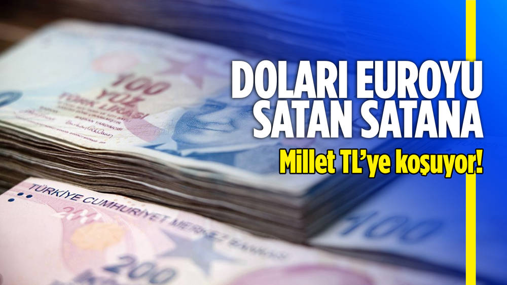 Yerlinin döviz mevduatı 1 ayda 12,6 milyar dolar azaldı