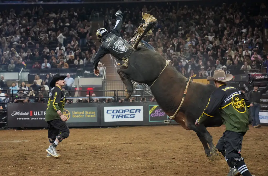 New York'ta rodeo şovu başladı! Spor sahası arenaya dönüştü