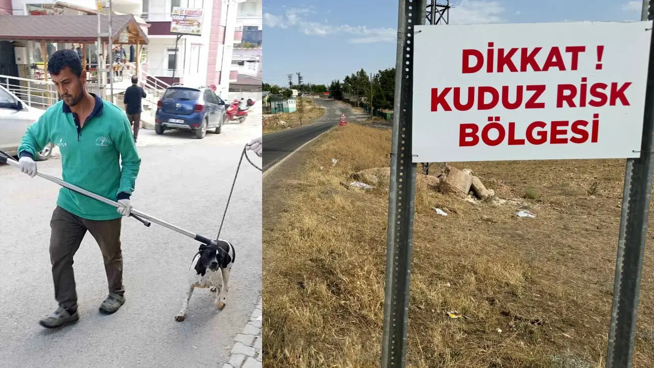 Hatay’da köpek iki kişiyi ısırmıştı! Köpek kuduz çıktı