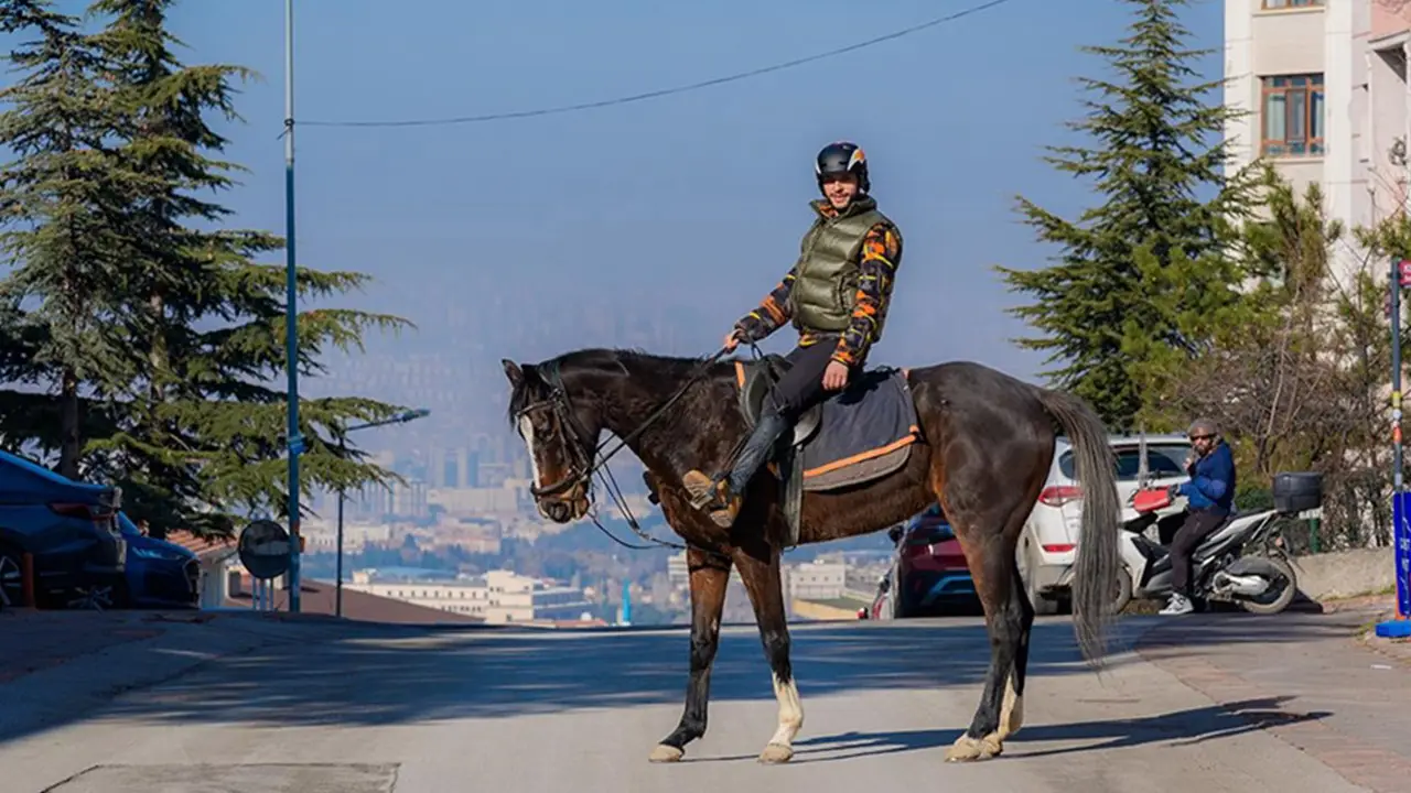 Başkent sokaklarında ''Zeyno'' ile turluyor