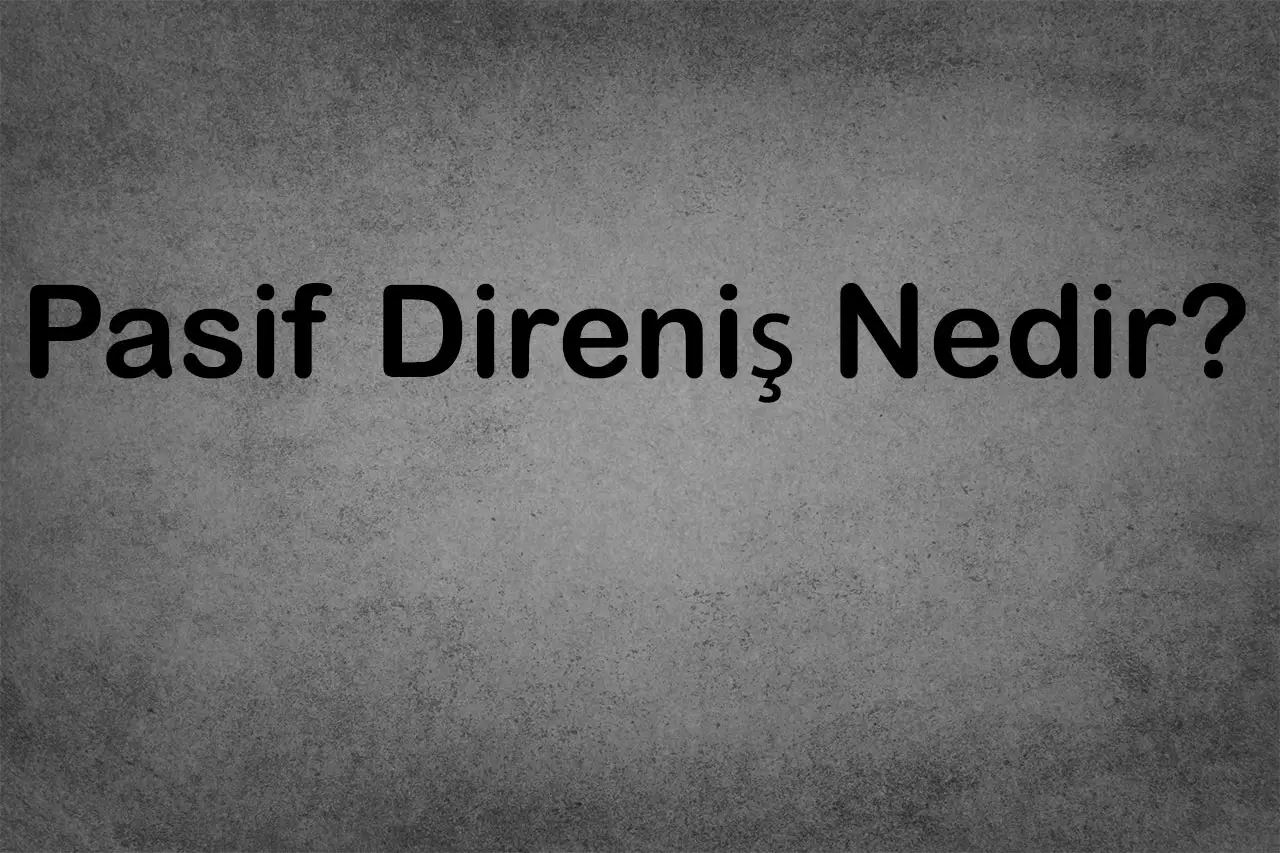 Şiddetsiz Mücadelenin Gücü Pasif direniş nedir?