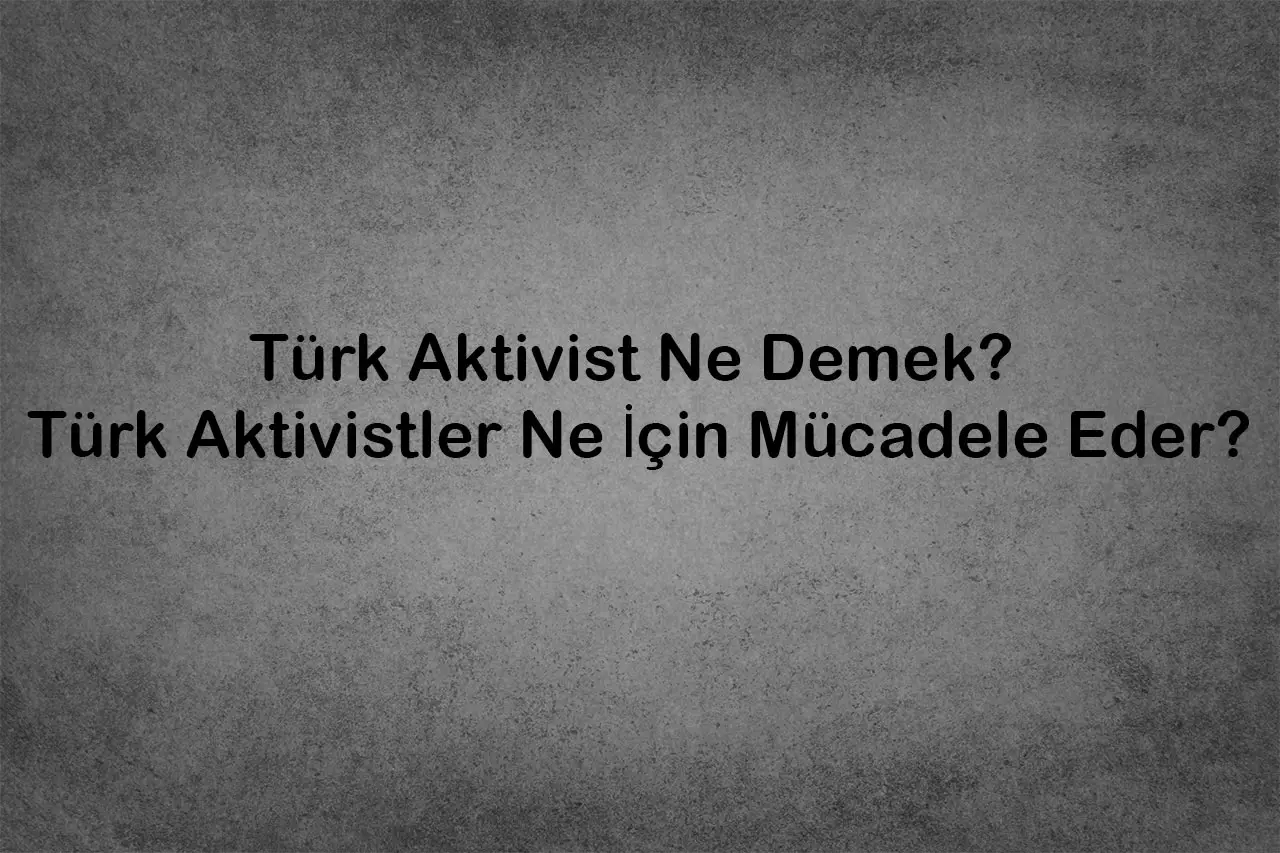 Türk Aktivist Ne Demek? Türk Aktivistler Ne İçin Mücadele Eder?