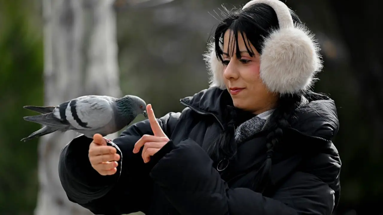 Ankara’nın uğrak noktası: Kuğulu Park!