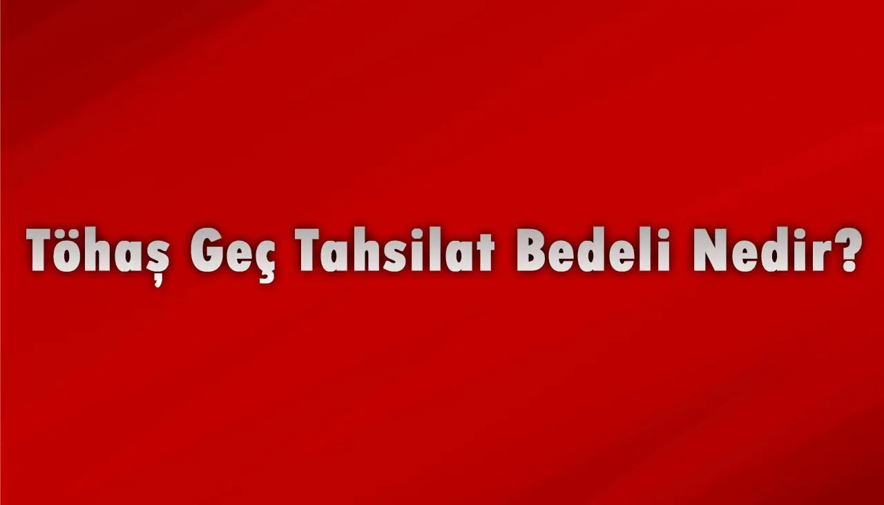 Töhaş Geç Tahsilat Bedeli Nedir?