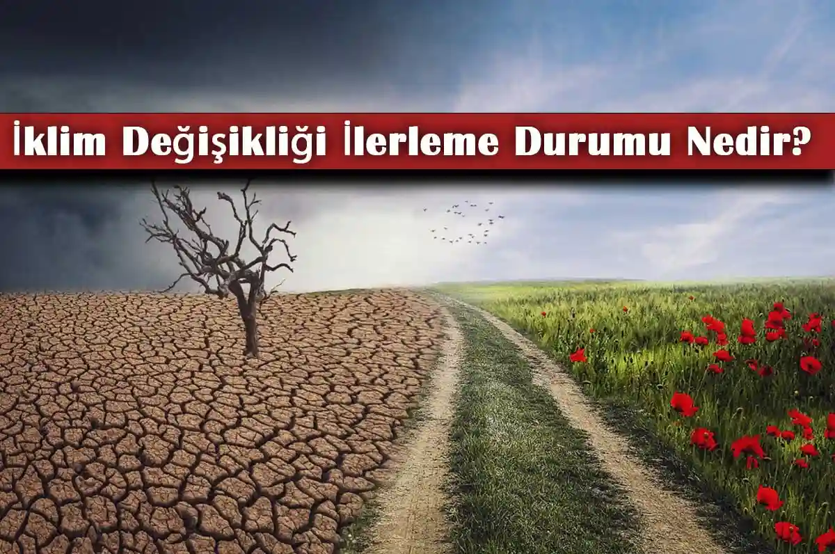 İklim Değişikliği İlerleme Durumu Nedir?