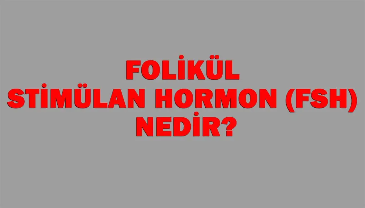 Folikül Stimülan Hormon (Fsh) Nedir?