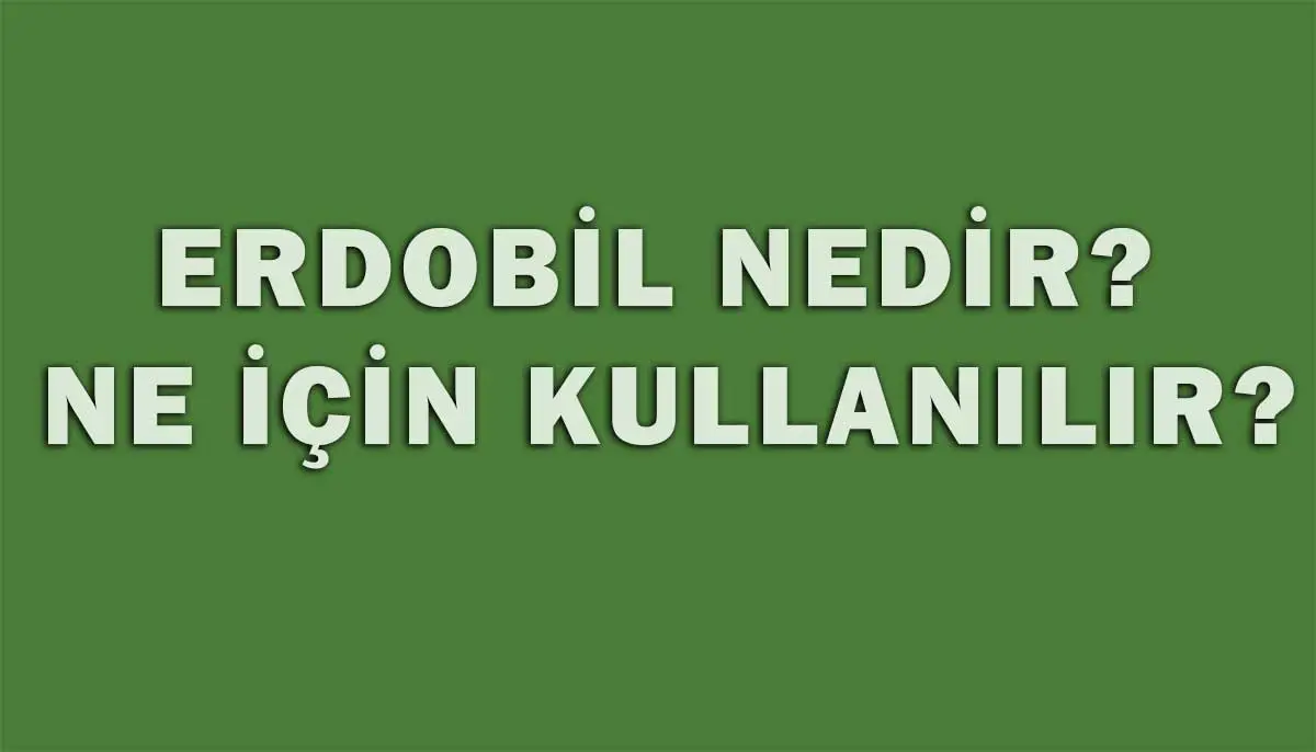 Erdobil Nedir, Ne İçin Kullanılır?