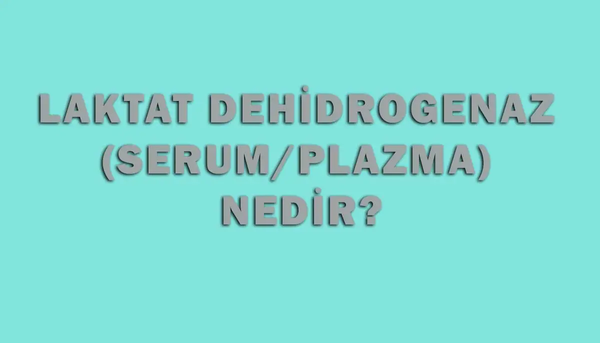 Laktat Dehidrogenaz (Serum/Plazma) Nedir?