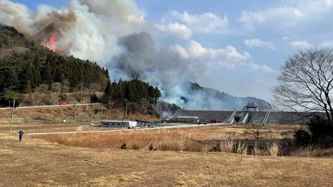 Japonya’da orman yangını: Şehir tahliye ediliyor