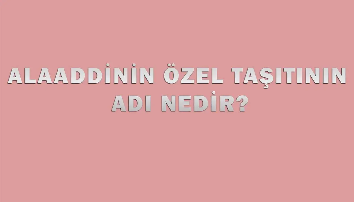 Alaaddinin Özel Taşıtının Adı Nedir?