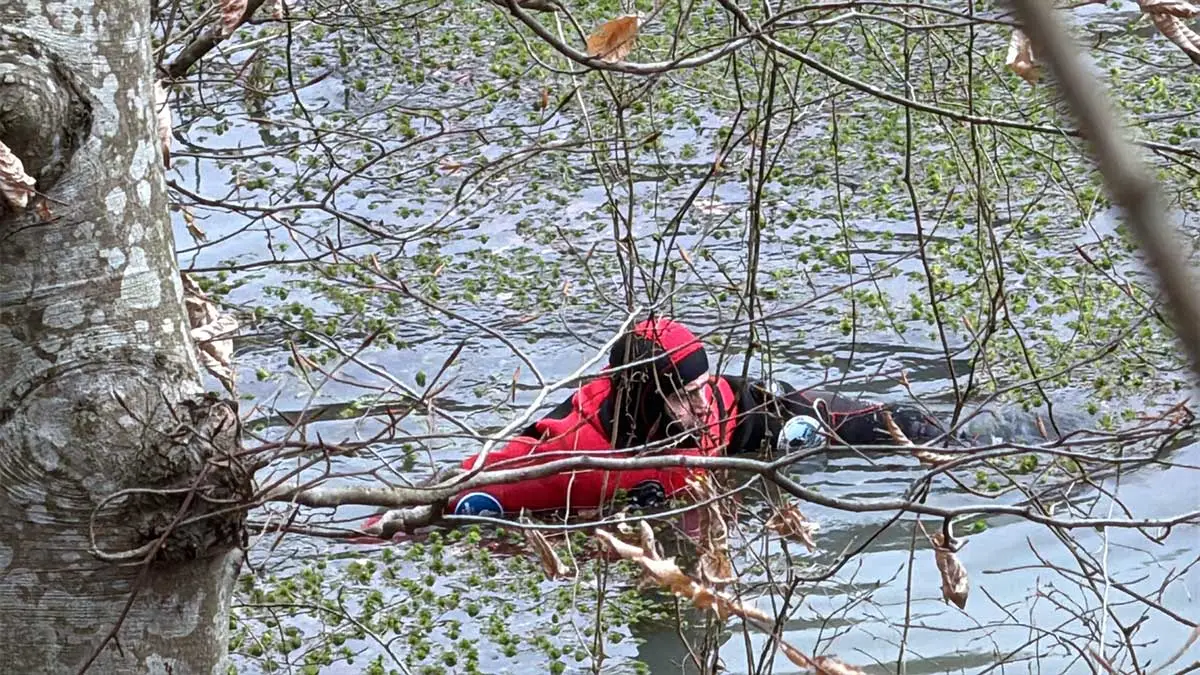 Belgrad Ormanı’nda kaybolan Ece Gürel hakkında son gelişme