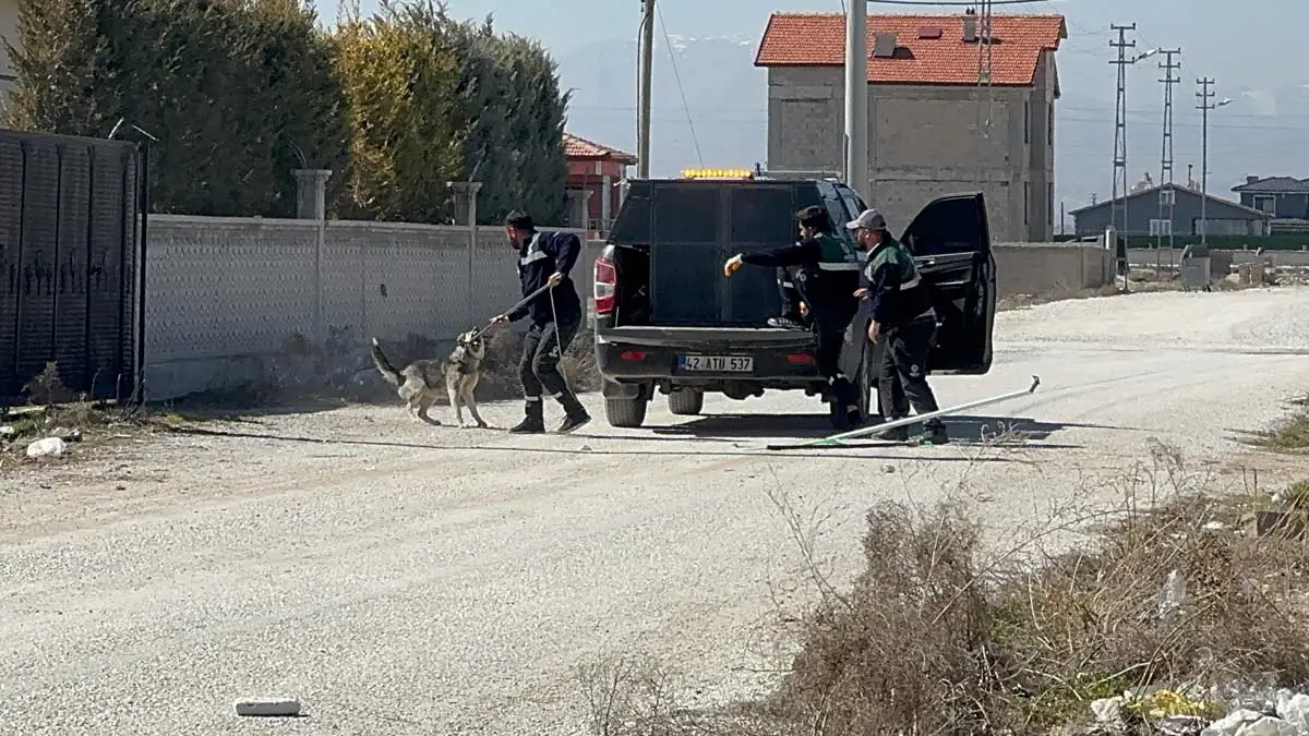 10 köpeğin saldırısı sonucu ölen Rana'nın ilk otopsi raporu tamamlandı