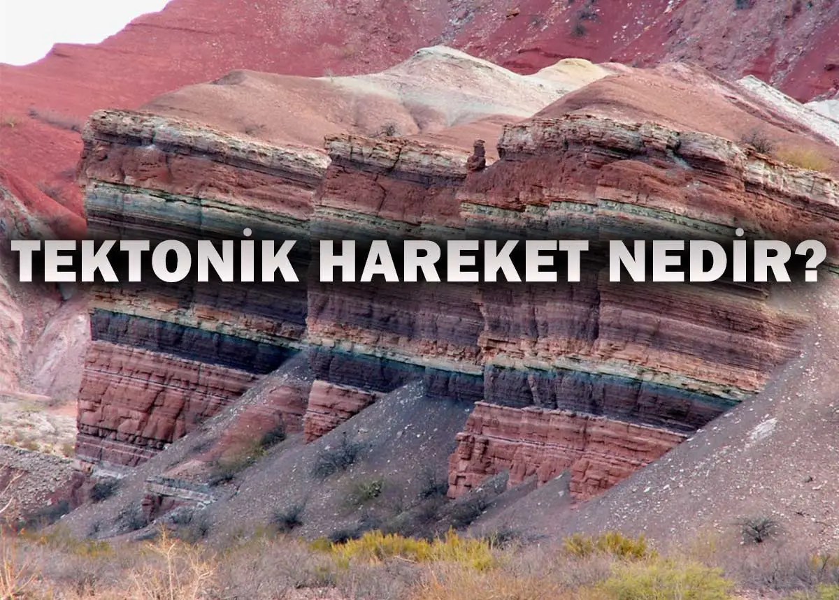 Tektonik Hareket Nedir?