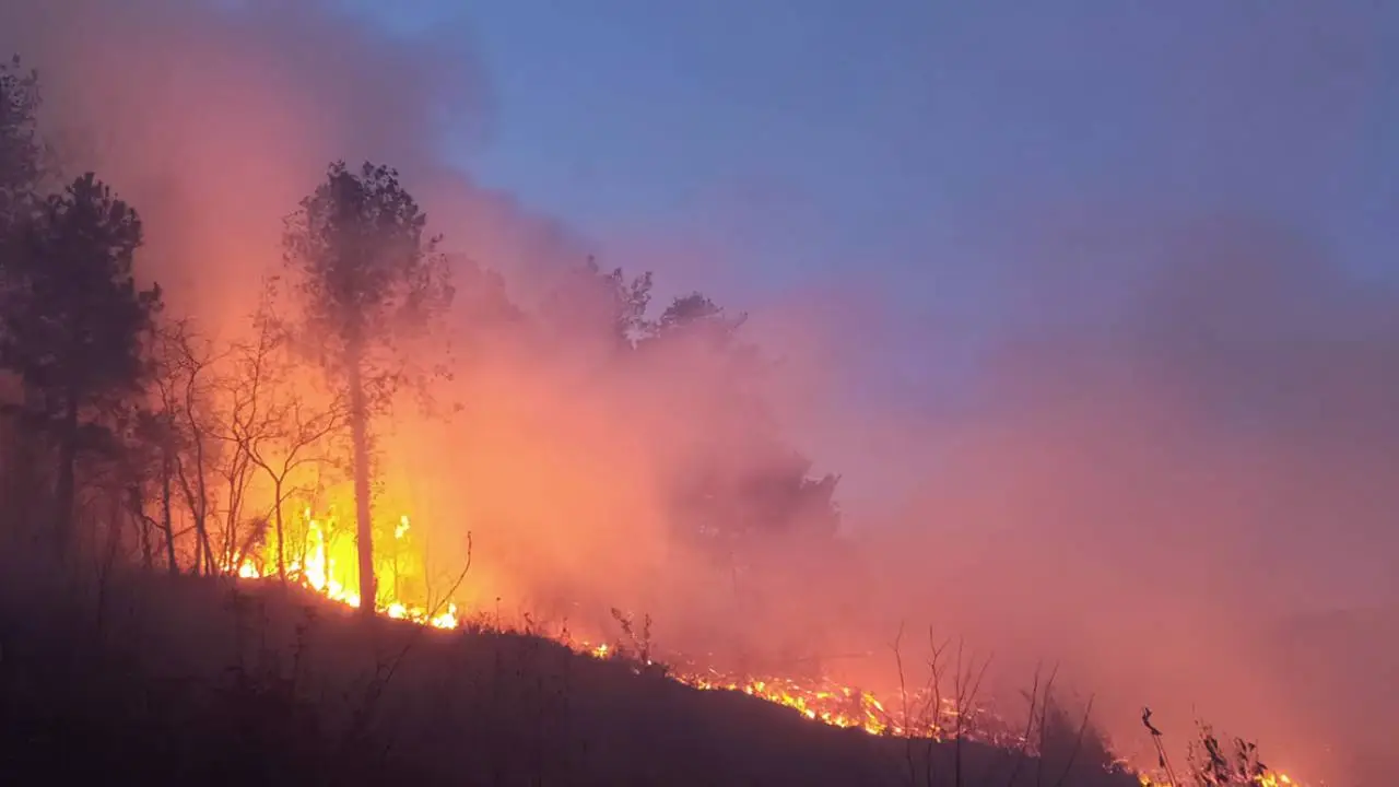 Hatay'da orman yangını... Kontrol altına alındı...