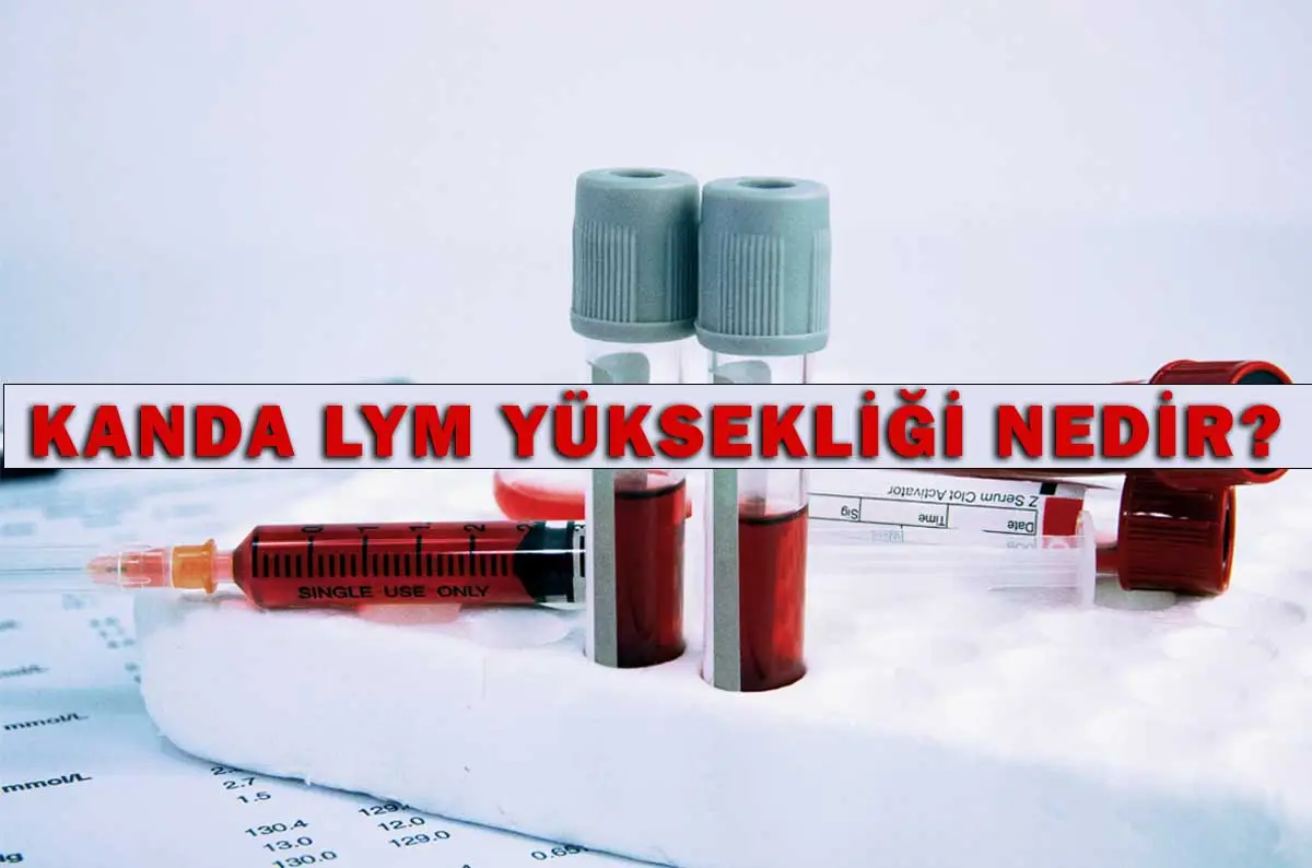 Kanda Lym Yüksekliği Nedir?