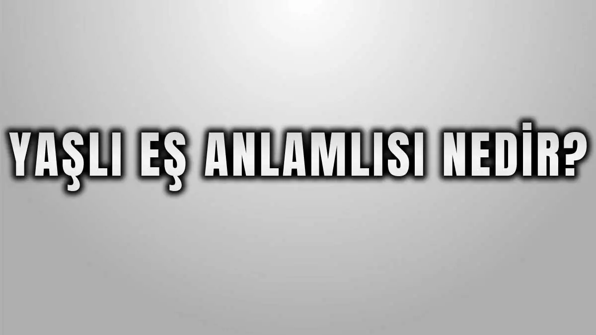Yaşlının Eş Anlamlısı Nedir?