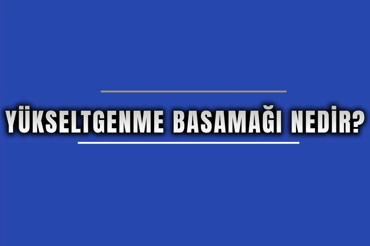 Yükseltgenme Basamağı Nedir?