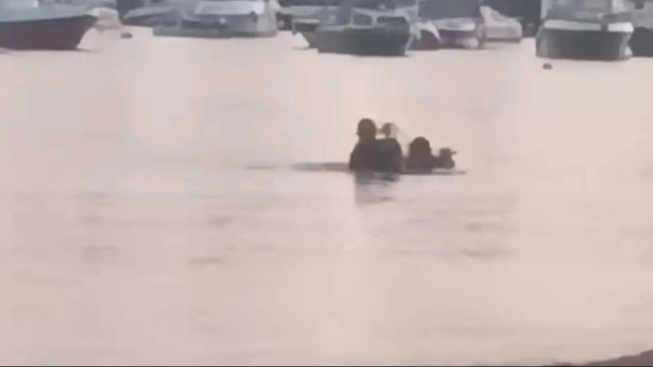 İstanbul'da denizde kaybolan Uğurcan Ceyhaner ölü bulundu