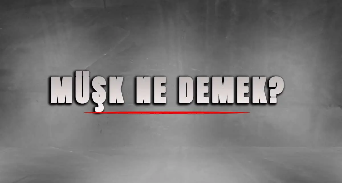 Müşk Nedir? Şiir Gibi Kokan Bir Kelimenin Hikâyesi