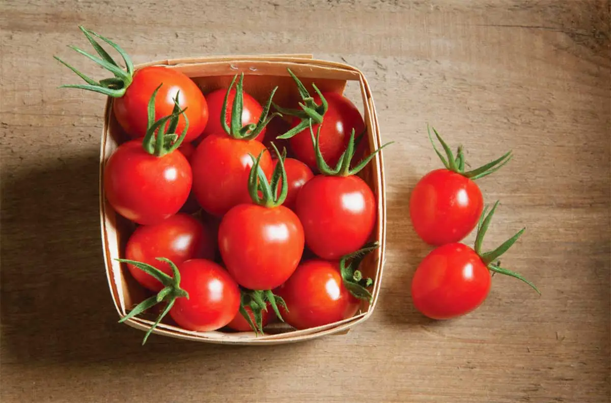 Domates Saplarından Aromatik Et Suyu Tabanı Nasıl Yapılır?