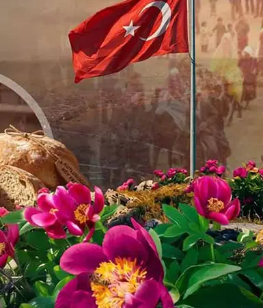 Şakayık Festivali için geri sayım