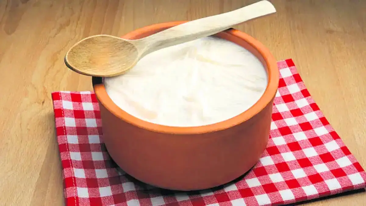 Sadece Kutludüğün’de yapılıyor: Mamak ravak yoğurdunun sırrı ne?