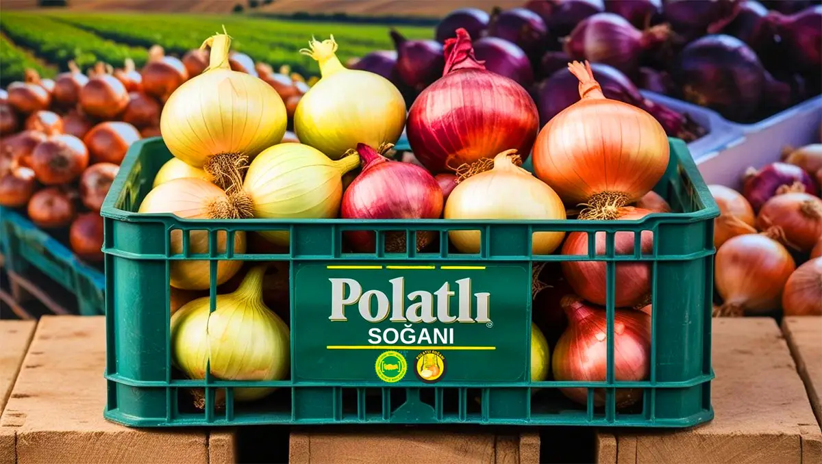Türkiye’nin soğan deposu: Polatlı soğanı neden meşhur, özel kılan ne?