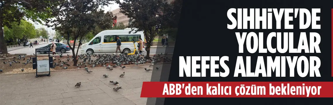 Sıhhiye’de güvercin yoğunluğu duraklarda nefes aldırmıyor