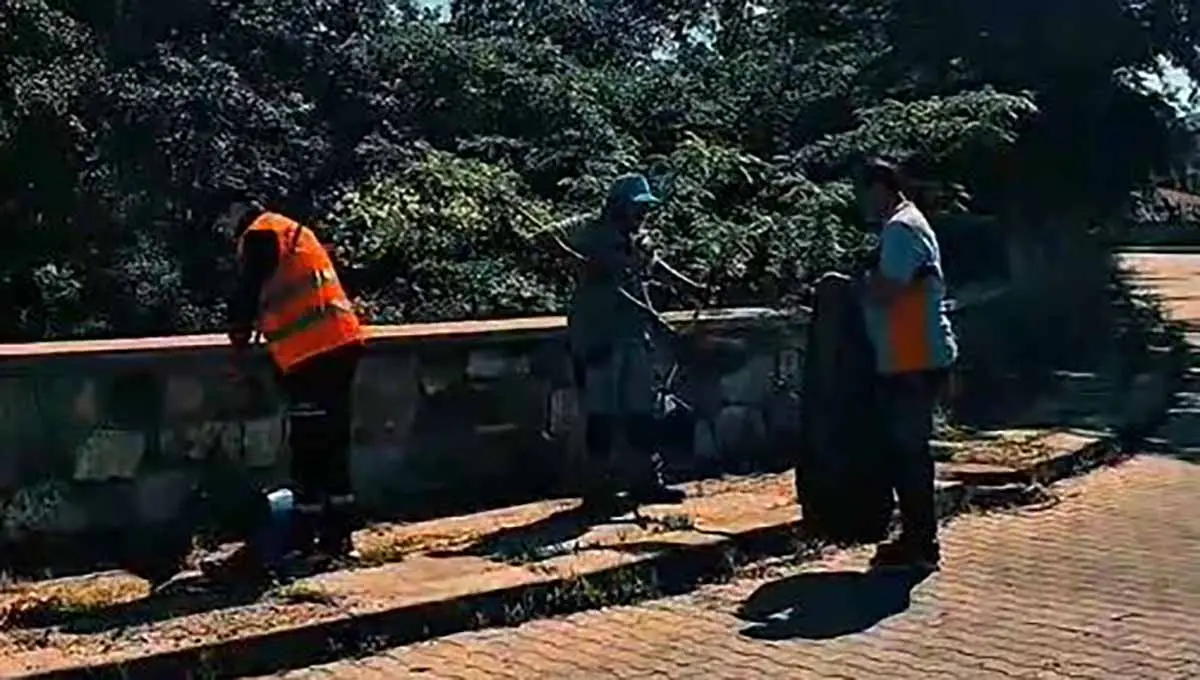 Nallıhan'da tam kapasiteli çalışma