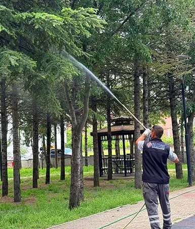 Parklarda yaz ilaçlaması başladı