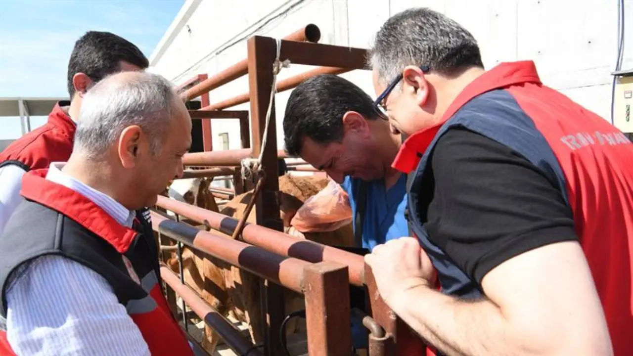 Ankara'da sürdürülebilir hayvancılık için saha çalışmaları devam ediyor
