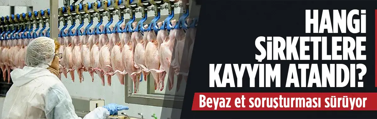 Beyaz et soruşturmasında kayyım atanan şirketler belli oldu