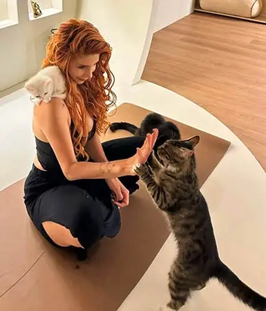 Kadınlardan kedilerle yoga