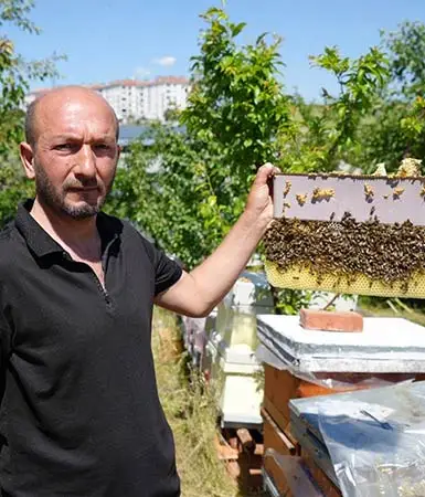 Arılara fısıldayan adam!