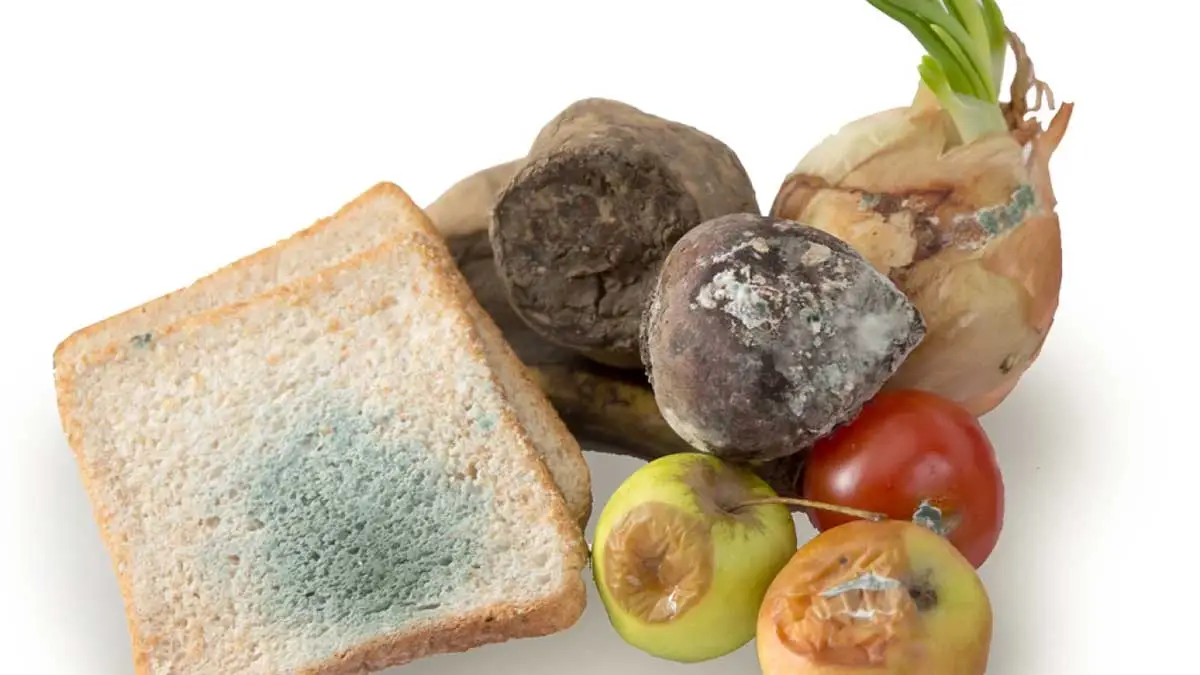 Ekmek, peynir, reçel... Hangisi küflense de yenir, hangisi hemen atılmalı?