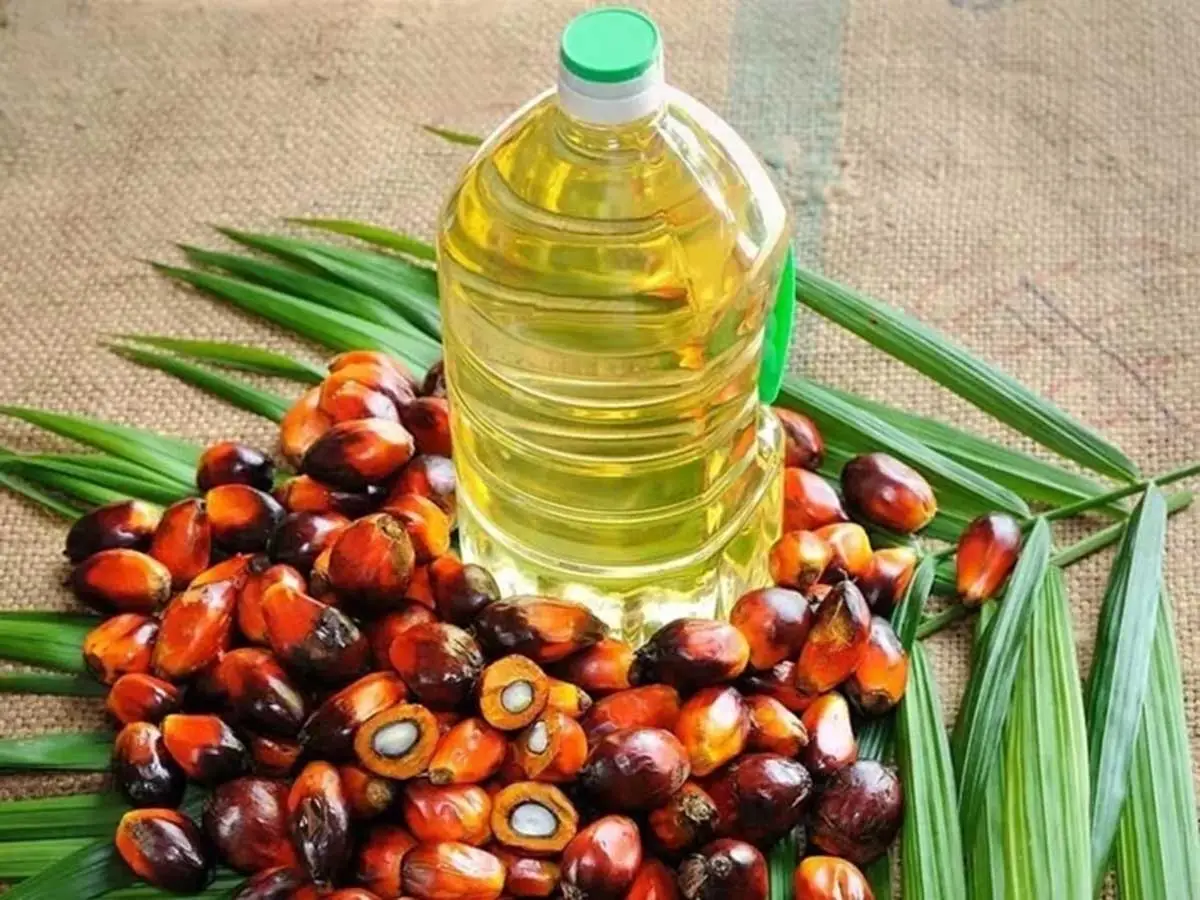 Palm yağı gerçekten kanser yapar mı? Hangi ürünlerde bulunuyor?