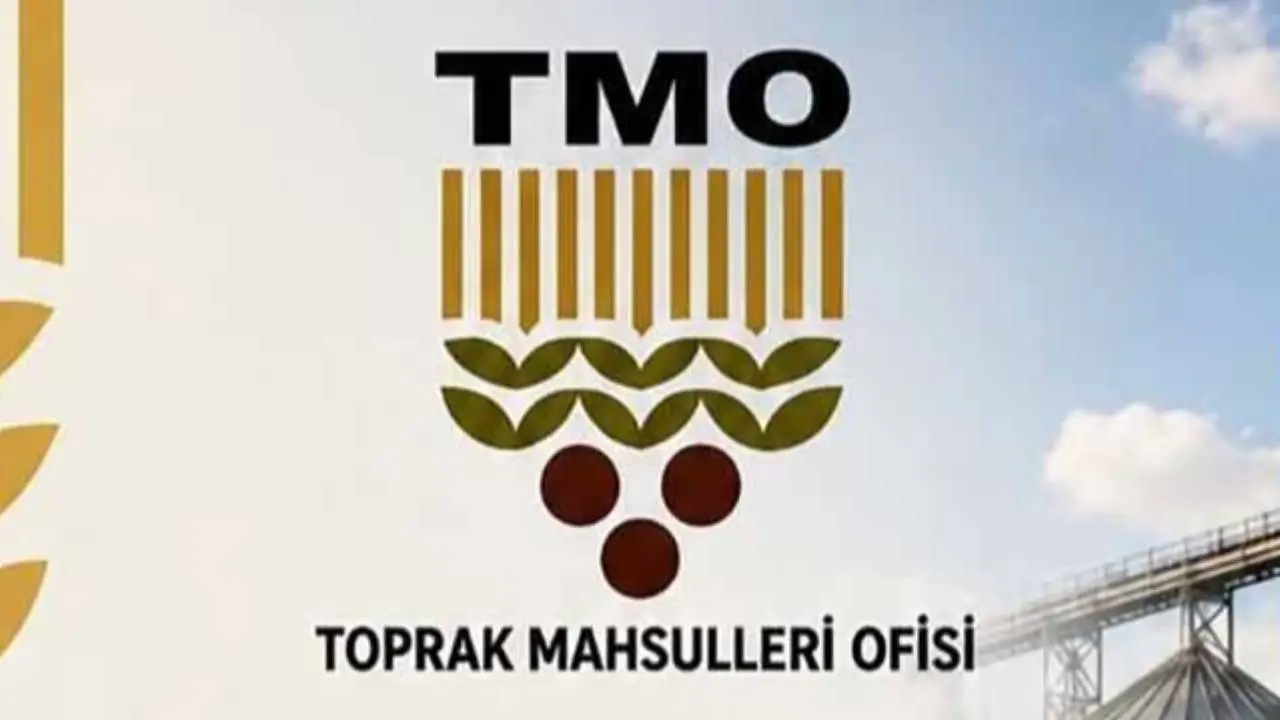 Şereflikoçhisar'da TMO alım kotası arttı
