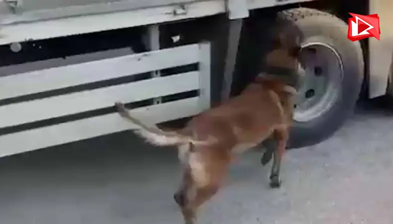Başkentte kaçakçılık operasyonu... Binlerce puro yakalandı...