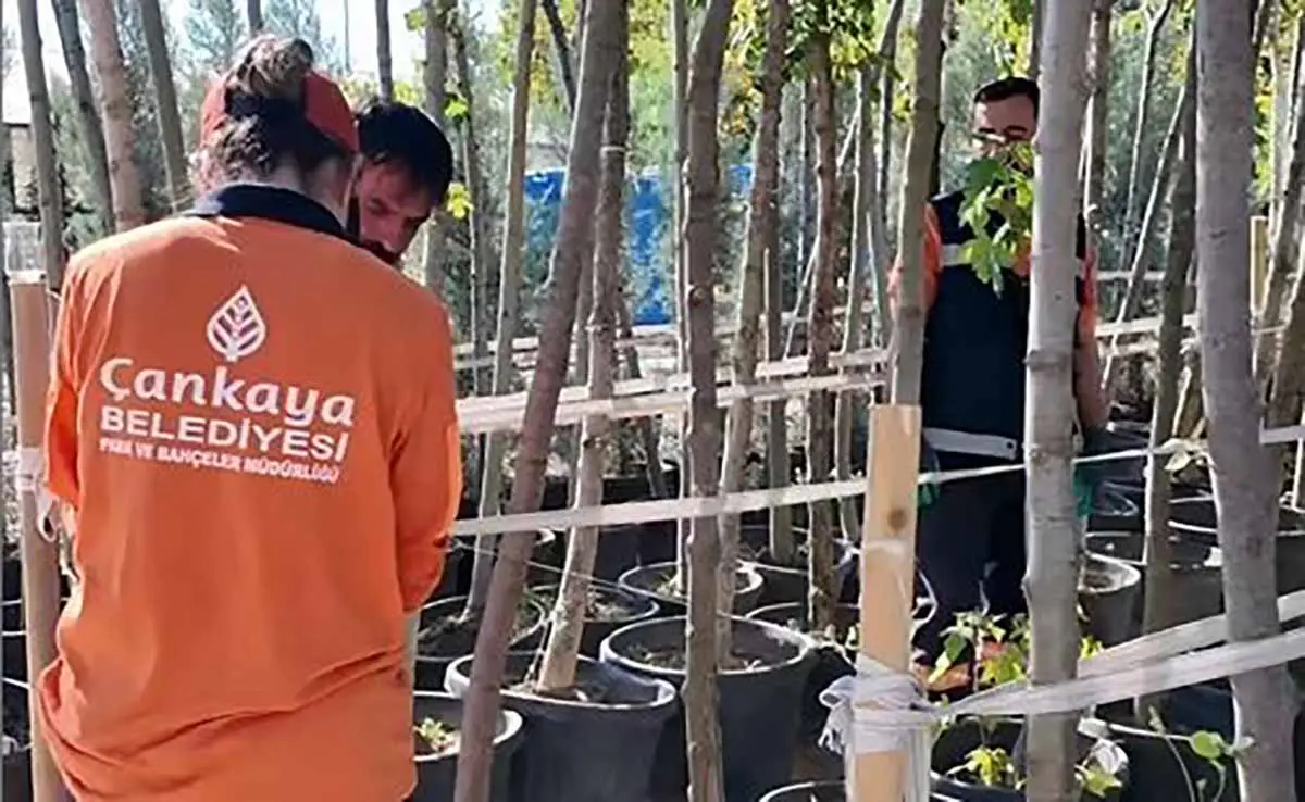 Çankaya'nın dört bir yanı yeşilleniyor