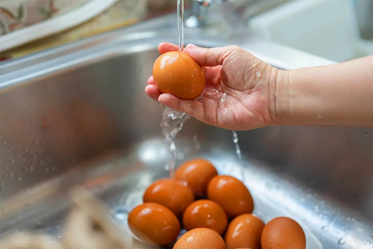 Yumurta yıkanmalı mı yıkanmamalı mı? Bilim adamları son kararını verdi