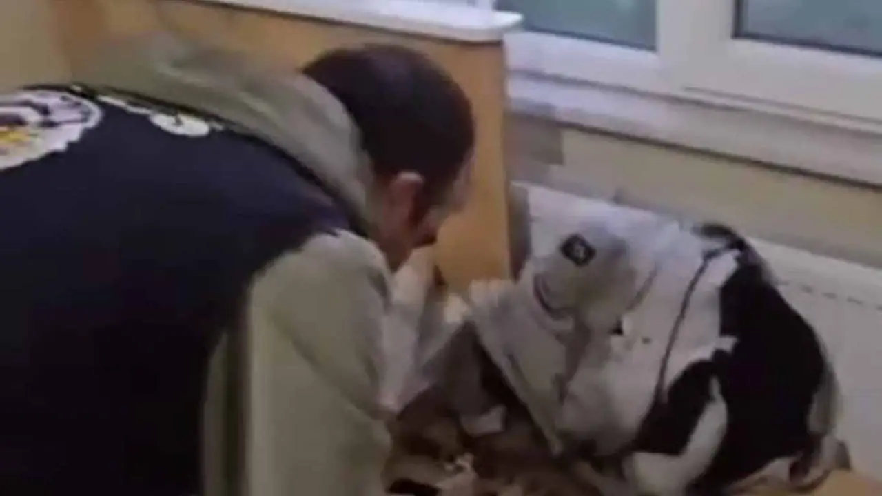 Sahte oto parça dolandırıcılarına darbe