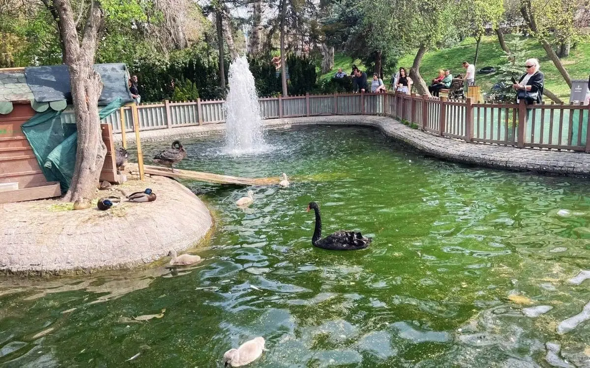Ankara’da bugün hava nasıl olacak? Saat saat tahmin