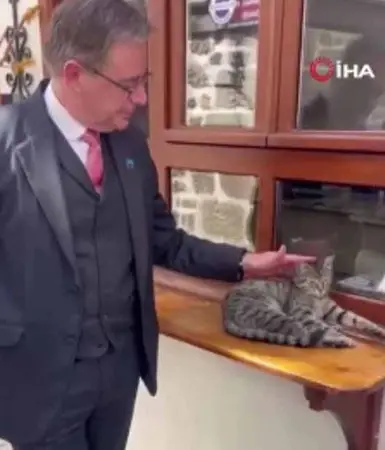 Belçika Başkanı Wever'den Ankara paylaşımı