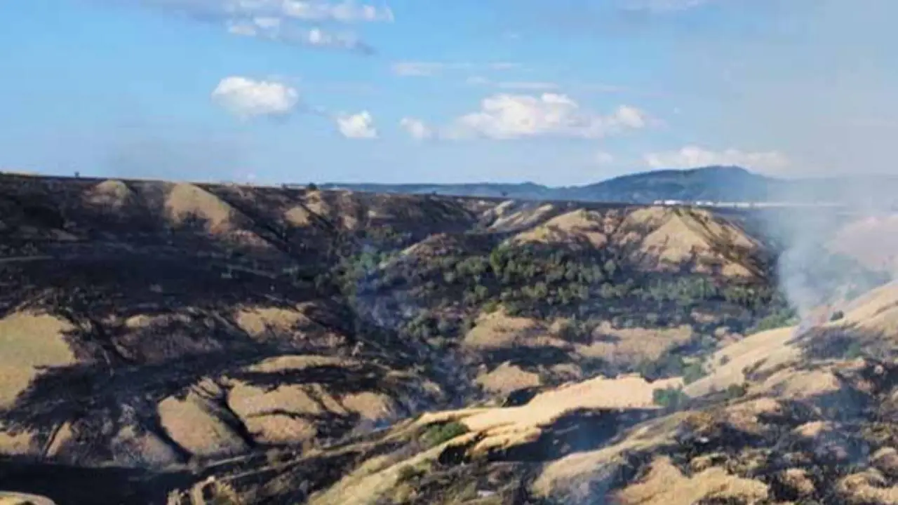 Kahramankazan'da bin dönümlük arazi yangını