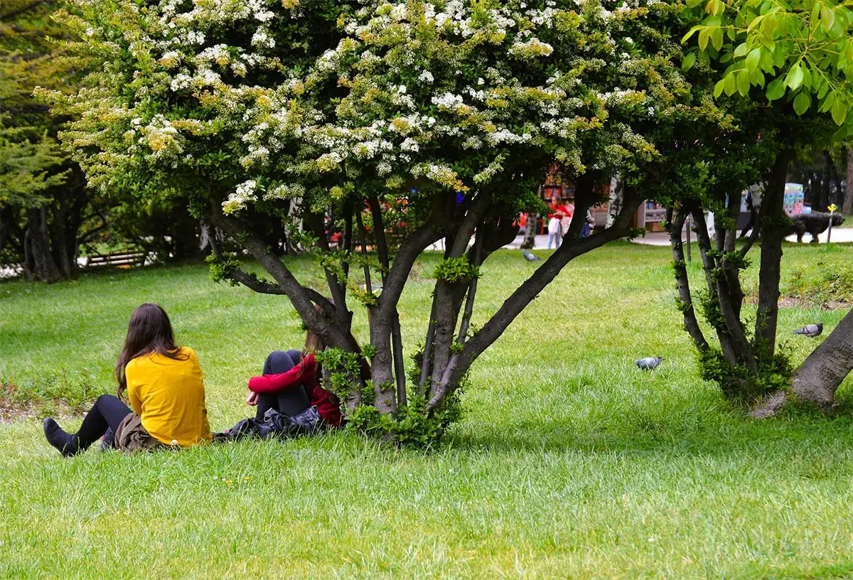 Ankara’da hava bugün nasıl olacak? Saat saat tahmin